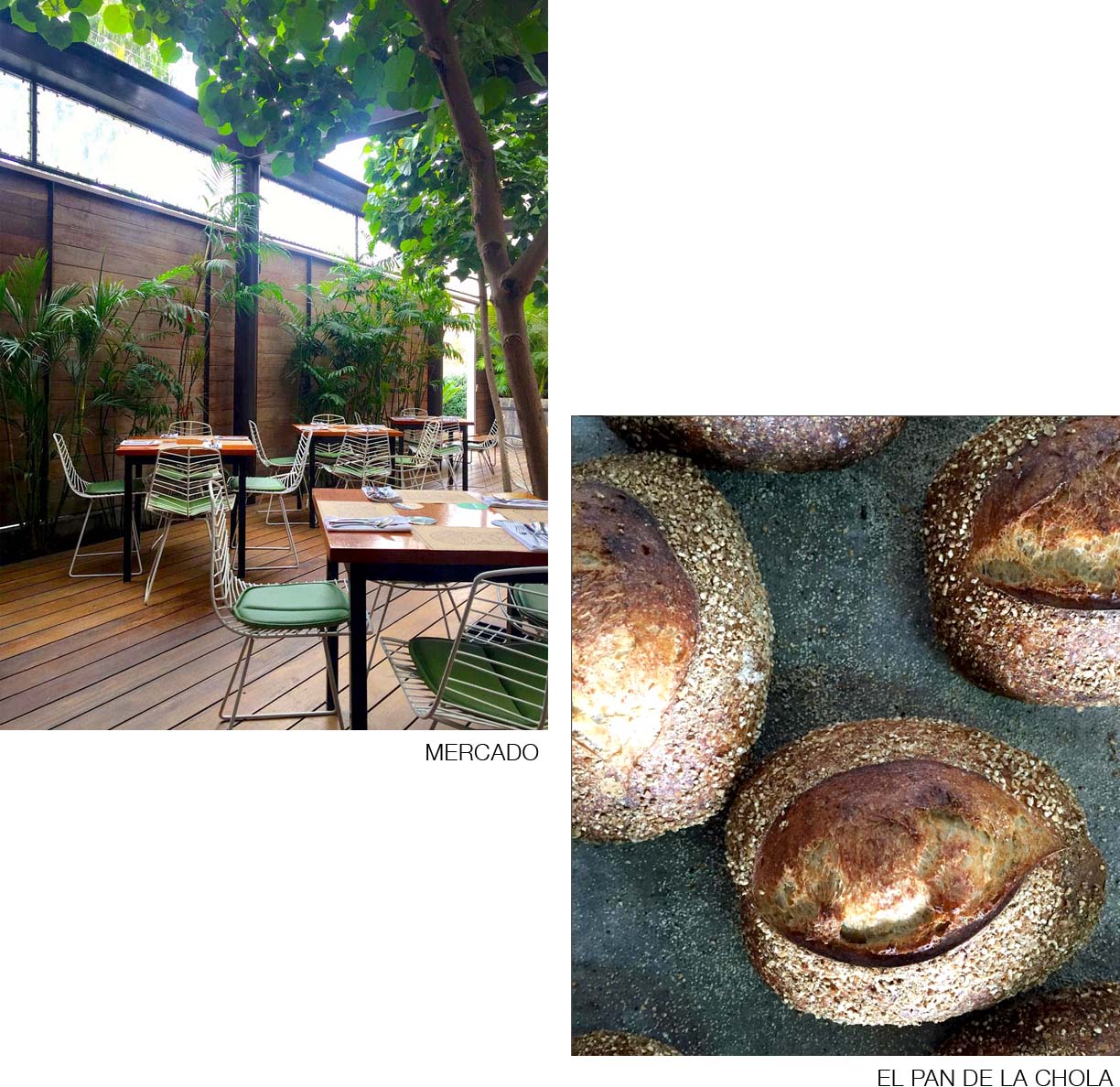 lima_collage_2_1