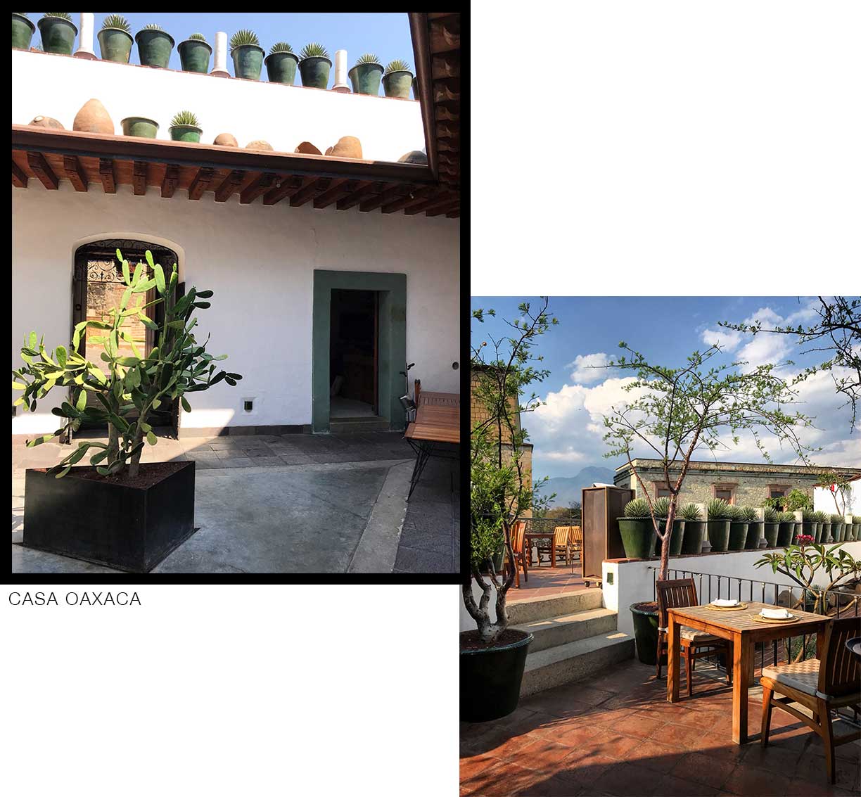 casa oaxaca restaurant, best outdoor patio brunch spot in oaxaca, mexico.