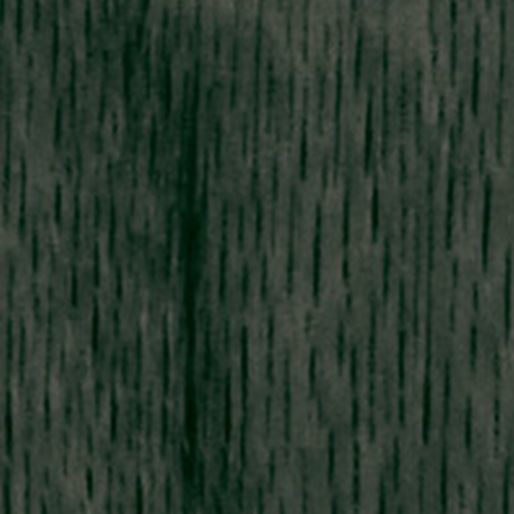 Celosia_Finish_Ficus Celosia ficus wood finish