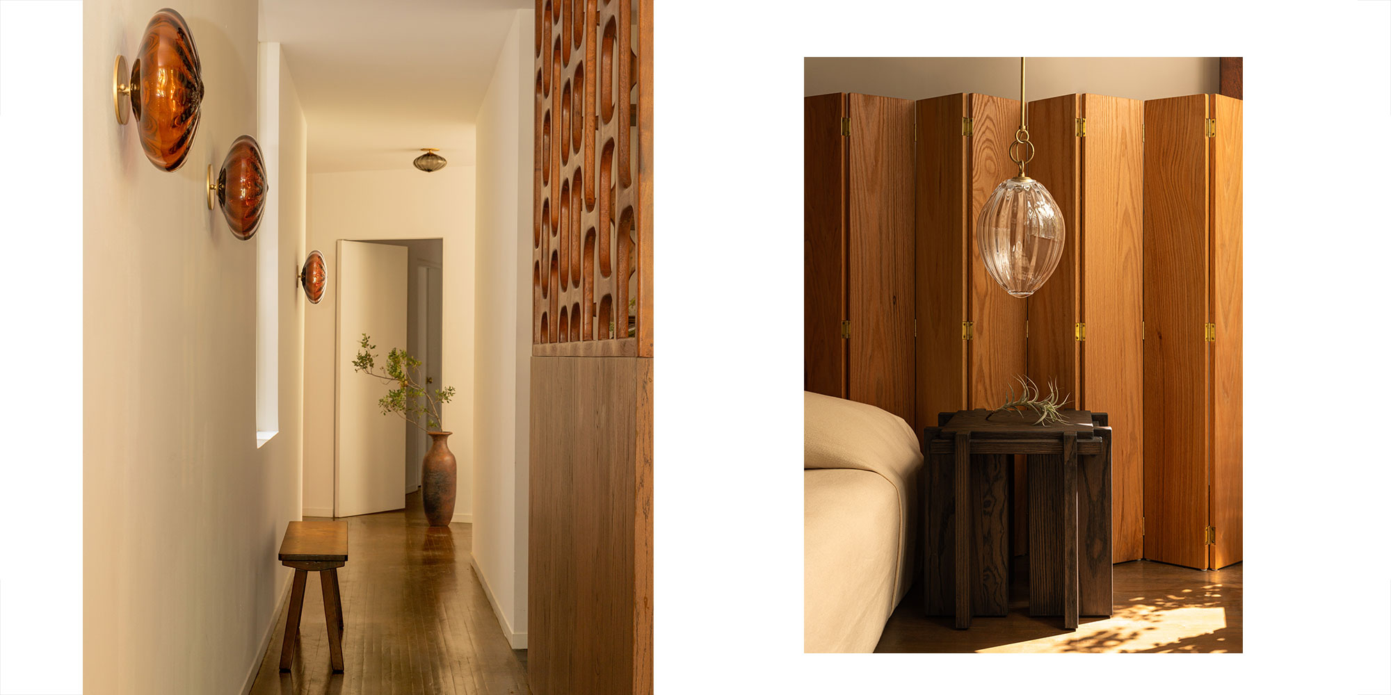 Agave_Banner Agave Collection Banner image