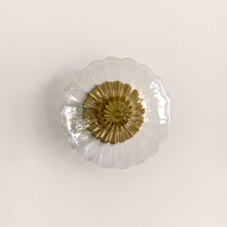 Agave Espadin Mini Pendant Clear Glass