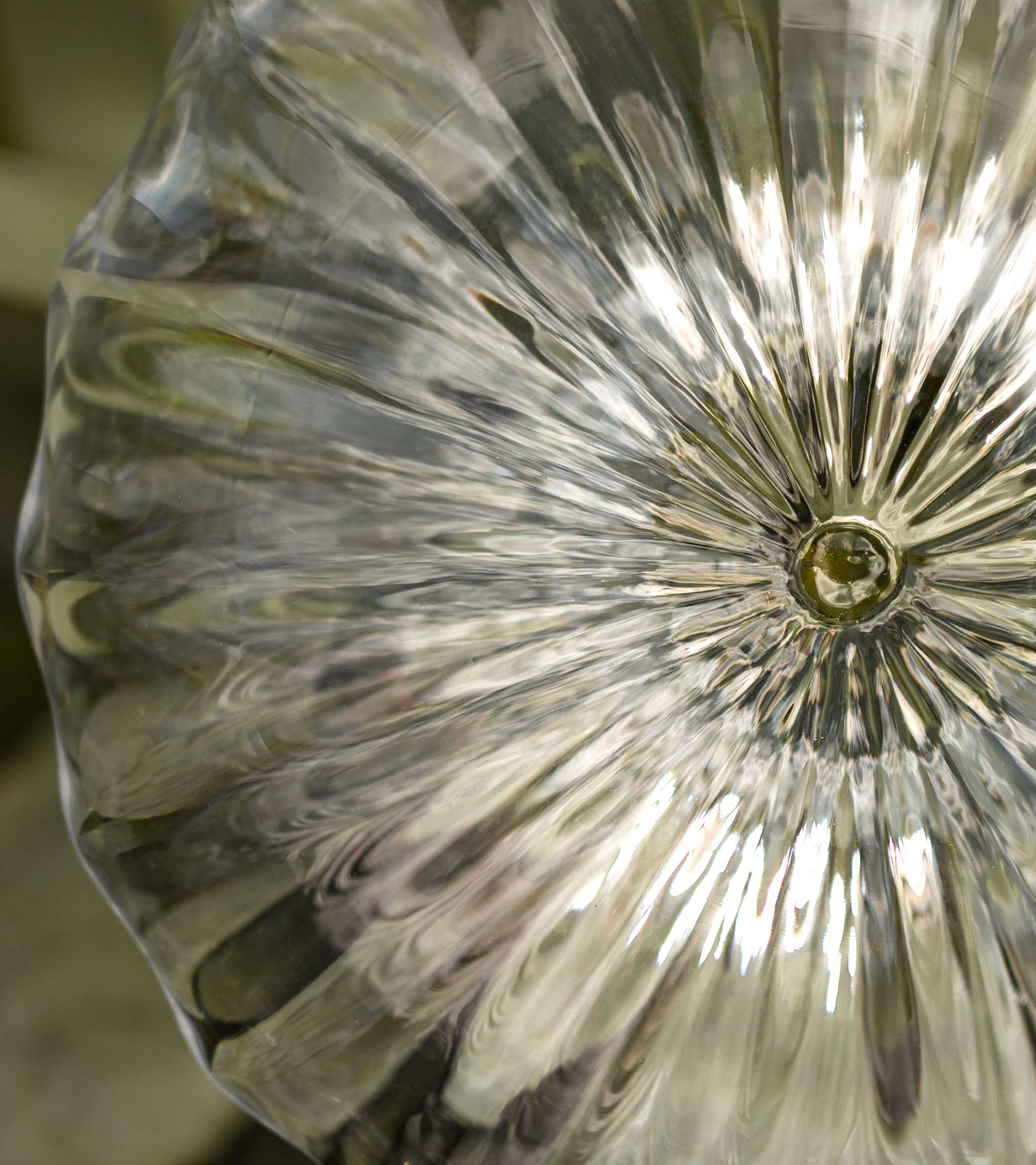 agave espadin mini detail