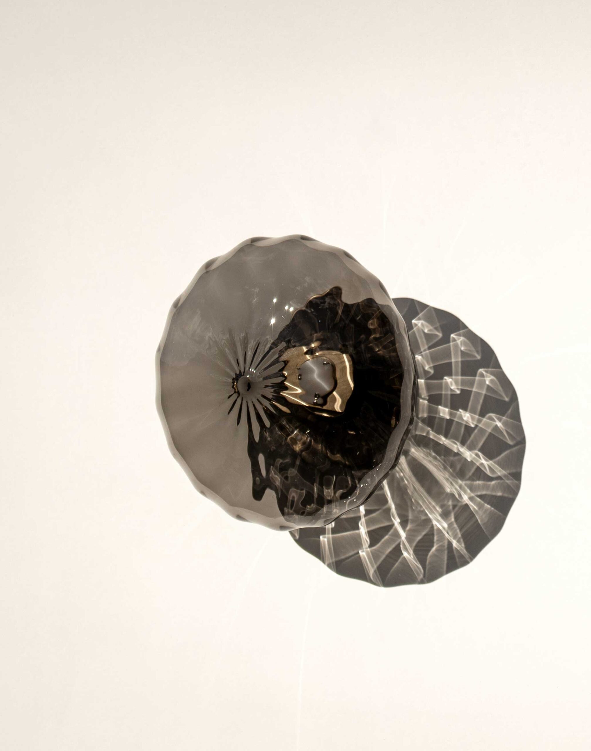 agave espadin mini shadow