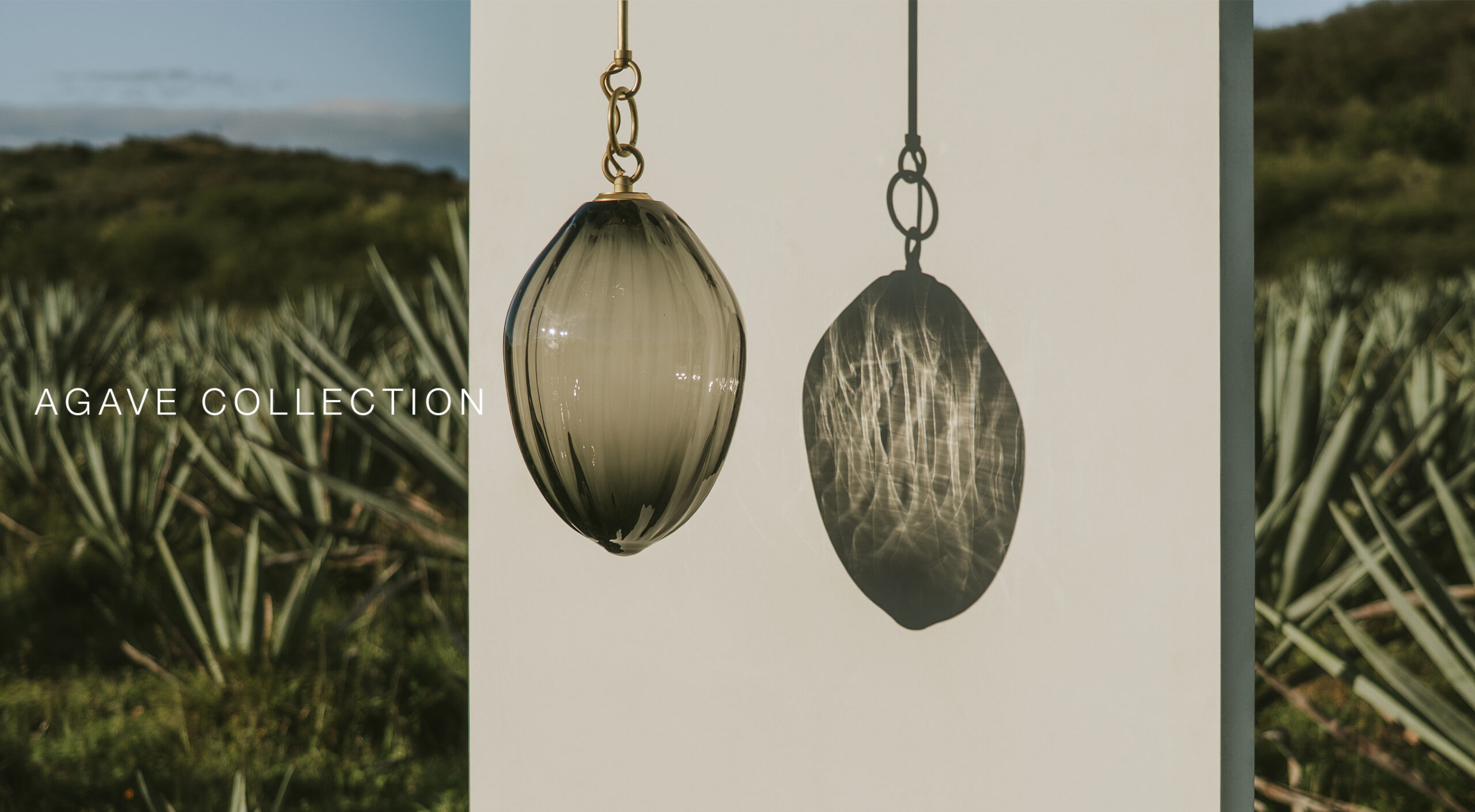 Agave_banner_dec2025